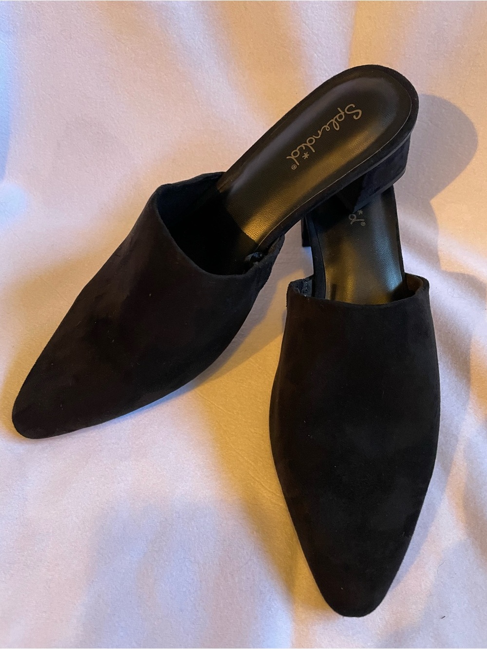 Splendid Black Suede Pointed Toe Mules